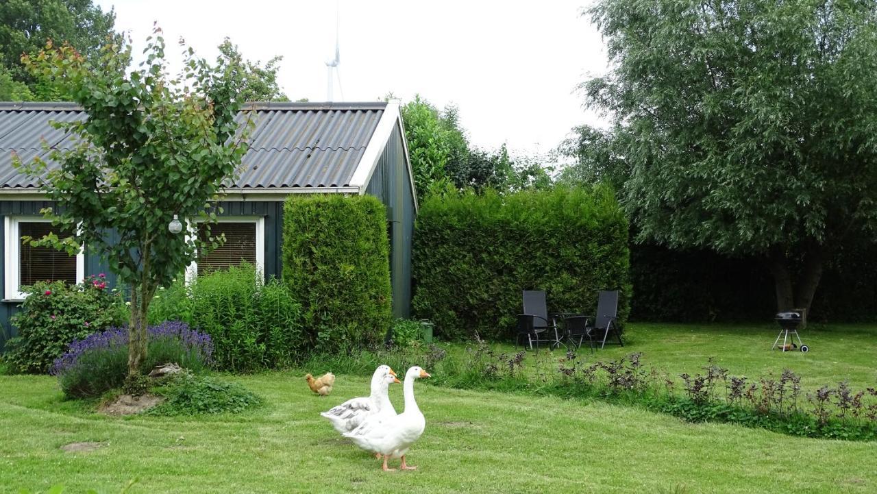 Ferienhaus Arda *